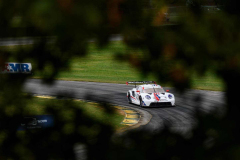 KevinEstre-Virginia-2021-2